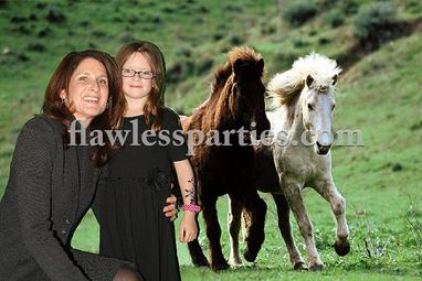 Horses Green Screen Photos
